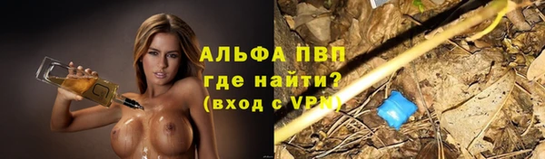 трава Балахна