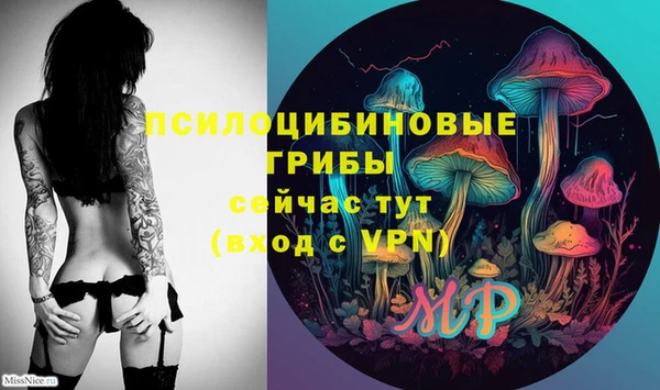 МДМА Белокуриха