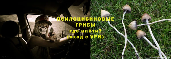 трава Балахна