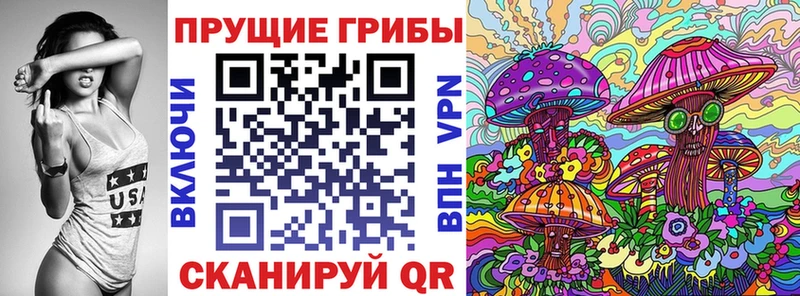 гидра сайт  Дятьково  Псилоцибиновые грибы MAGIC MUSHROOMS 